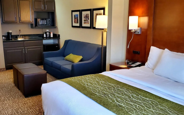Comfort Inn & Suites Decatur - Forsyth