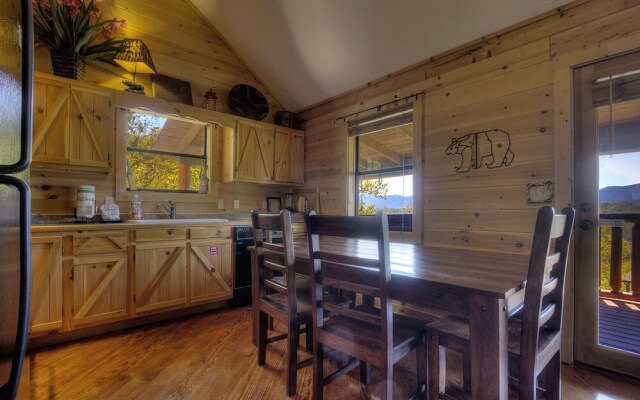 Grandpa Bear's View #233