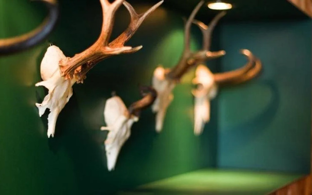 Wohlfühlhotel Hubertushof