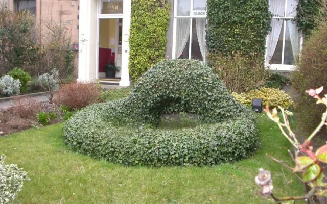 Ivy Guest House