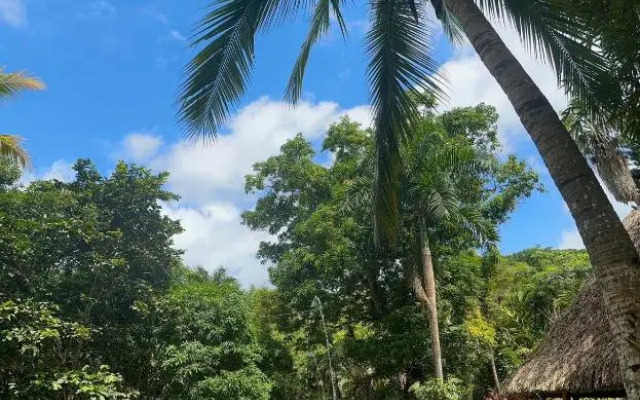 Eco Hotel Inka Minka x2 by Caribecheap