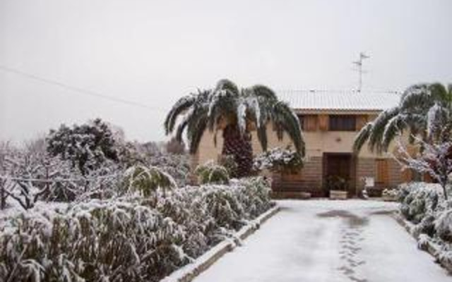 La Yucca