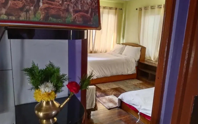Kathmandu Airport View Hotel And Lodge