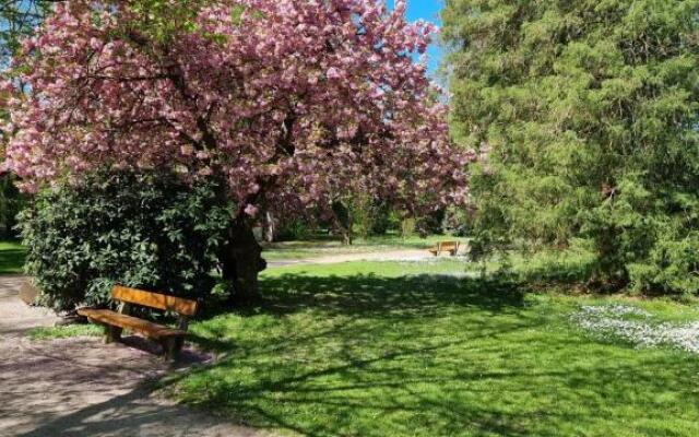 Relax City Apartments