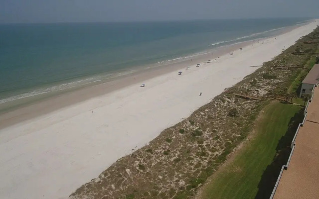 Sand Dollar 404