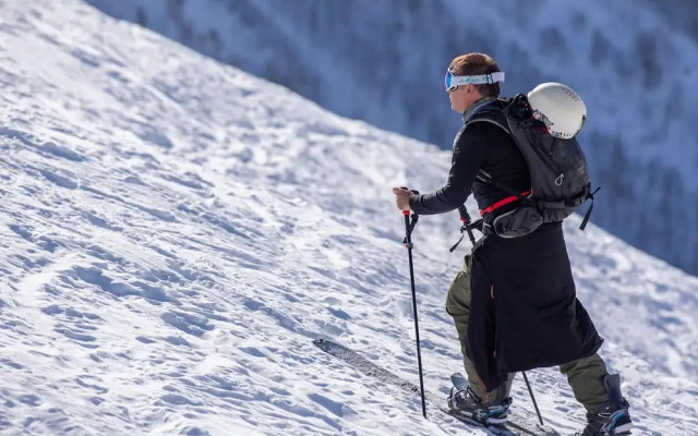 R Sidence Androsace 53