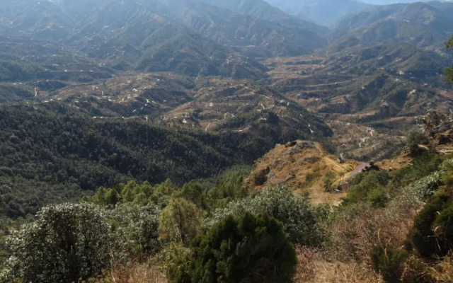 Trishul Orchard Resort