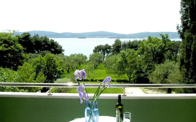 Viola - With Pool - A6