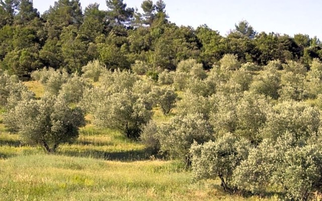 Chambre d'Hotes La Brunetière