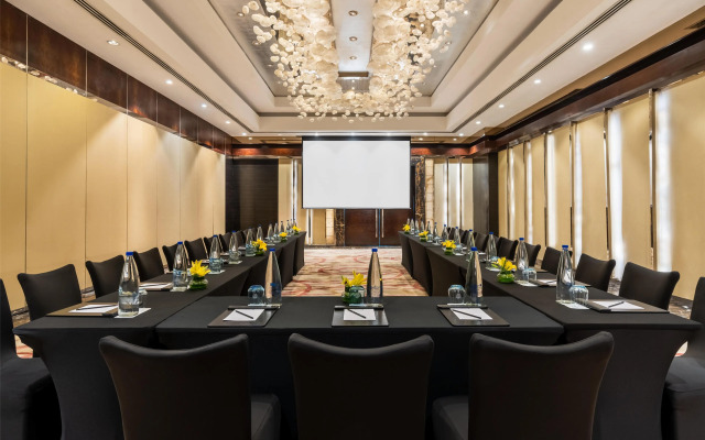 Radisson Blu Plaza Delhi Airport