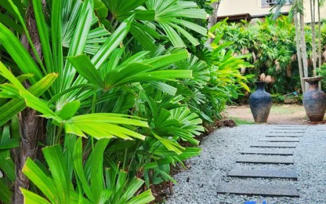 Villa Prima Karon Beach
