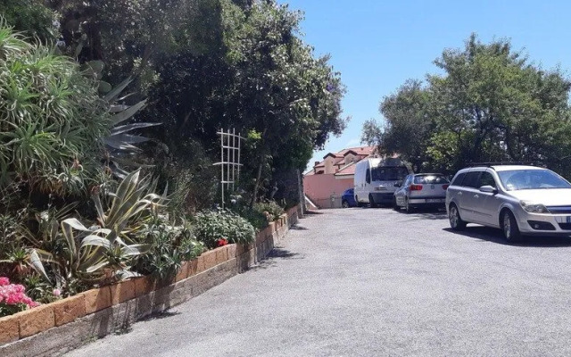 Flatty Alassio - Aloe