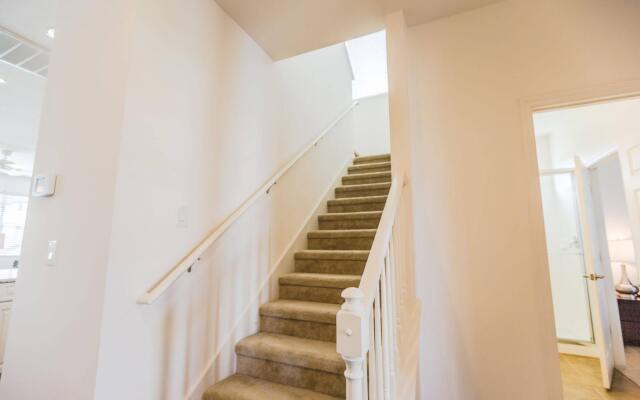 Providence By Contempo