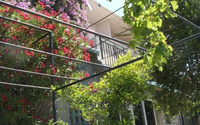 Apartments Stari Pavle