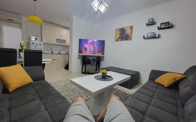 Spacious Apartment in Novi Sad