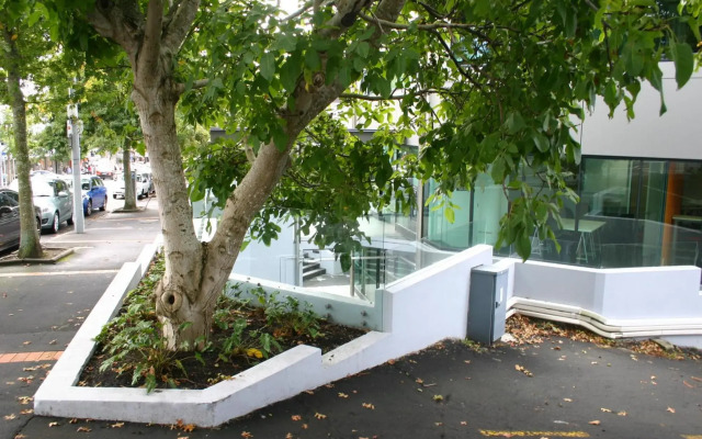 Parnell Pines