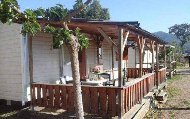 Mobile Home A Saliva