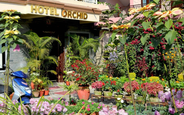 Hotel Orchid