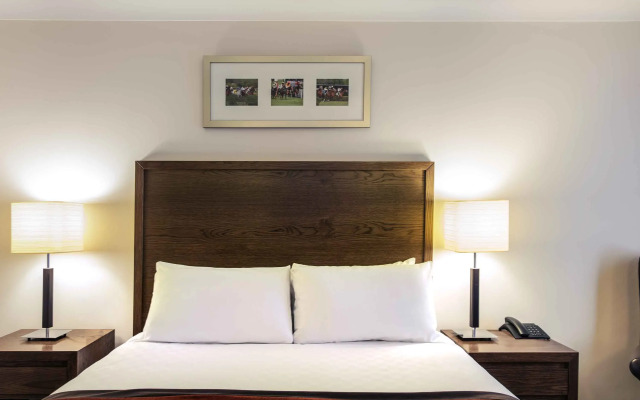 Mercure Haydock Hotel