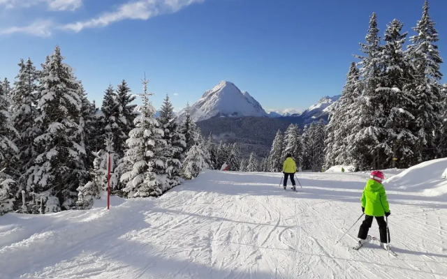 Birkenwald Seefeld in Tirol