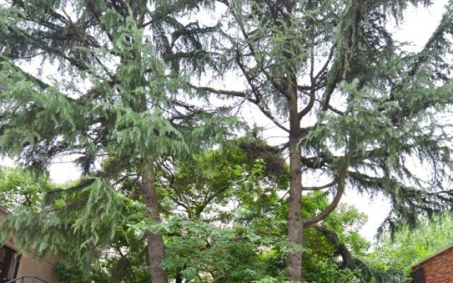 Shanghai Nanquan Hotel (First Department Store Tangqiao Metro Station Branch)