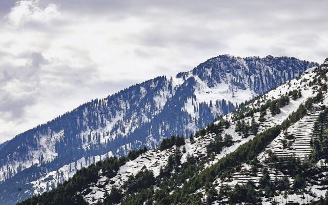 Solang Valley Resort