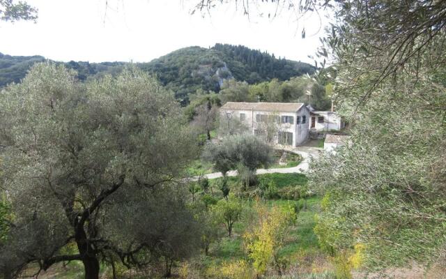 George's house