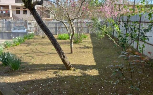 Guest House Meri