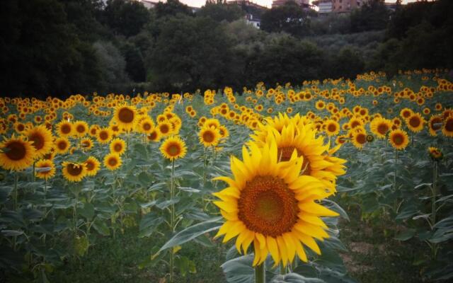 Podere La Capacciola