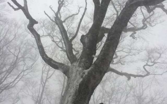 Okushiri Guesthouse imacoco - Hostel