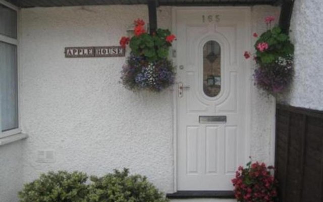 Room in Guest room - Comfortable Family room with Tv, Free Fast Wifi, Sleeps 4 with 1 Bunk Bed