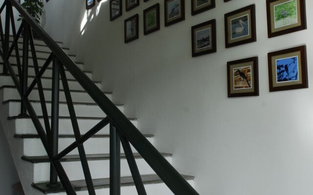 The Albatross, Kandy