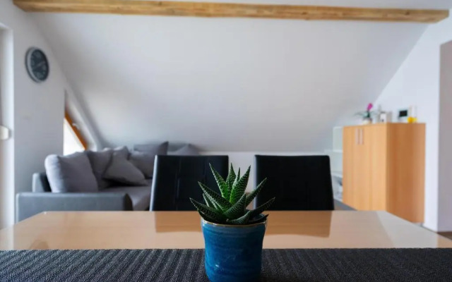 PJagodic Apartments and Wellness