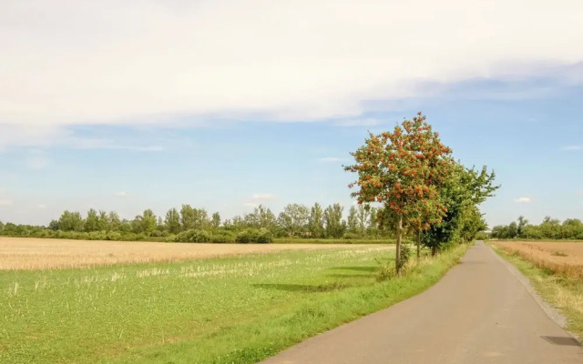 Welcoming Holiday Home in Gernrode With Garden