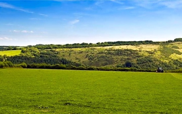 Zeal Farm