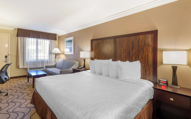 Best Western Plus Orchid Hotel & Suites