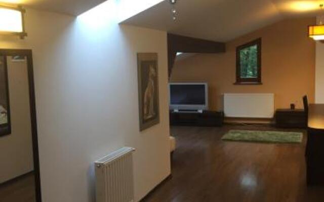 Apartament Miruna