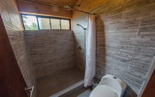 Cabañas Loica