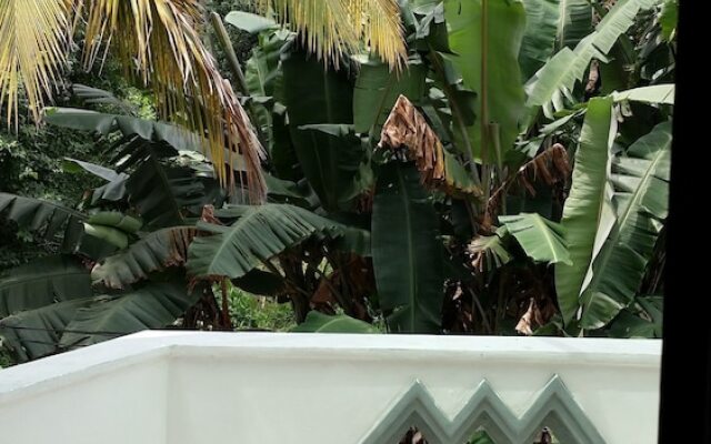 Village Villa Home Stay