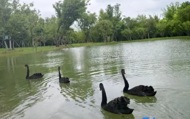 Liyang Tianmu Lake ANUE HOTEL