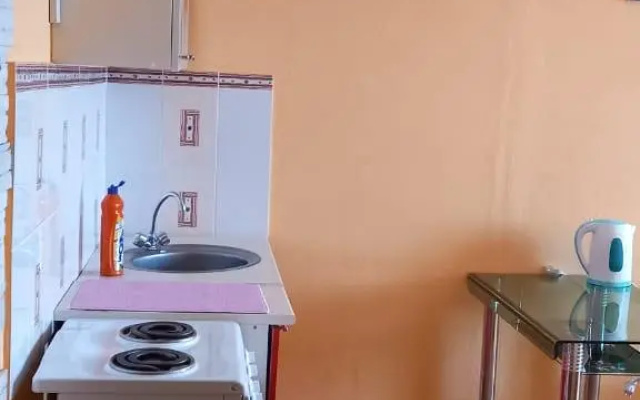 Zheleznyi mir