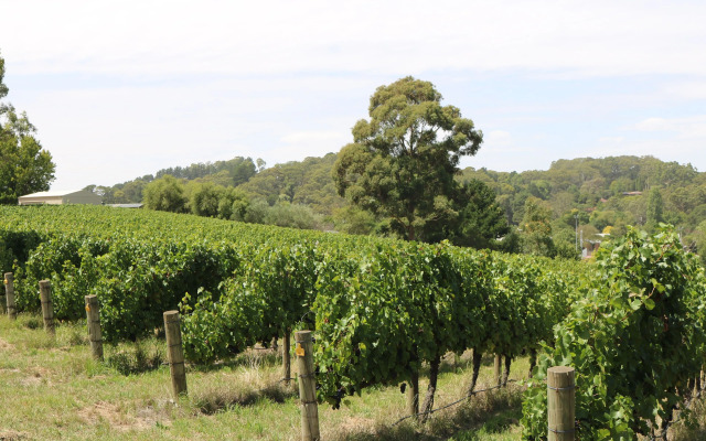 Pavilions at Lenswood
