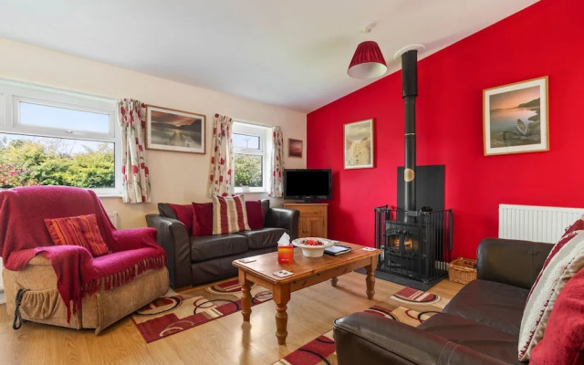 Poppy at Gorslwyd - Sound Retreat