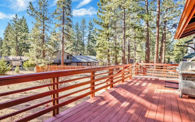 Mockingbird in Moonlight #2527