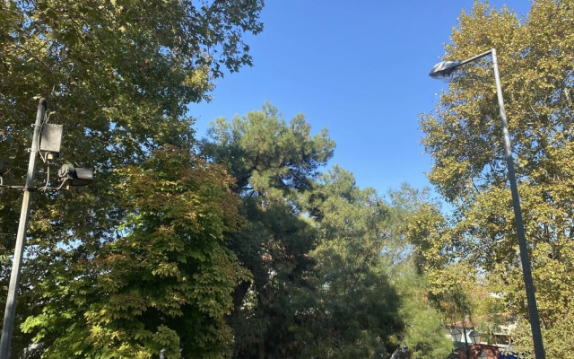 Karaagac Adres Apart Otel