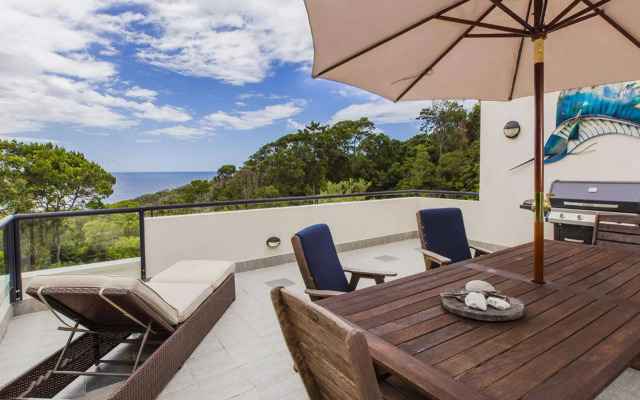 Papillon Coolum