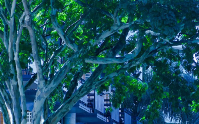 Soho Brisbane