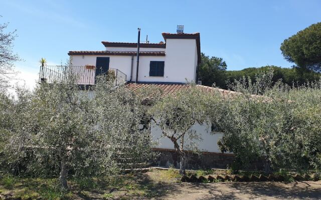 Room-apartment Pompeii Rendine