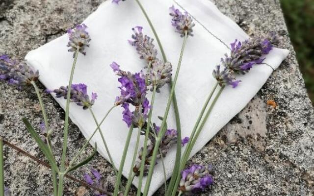 Rustic Holiday Home Miketa