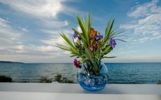 Anemona Beach Hotel